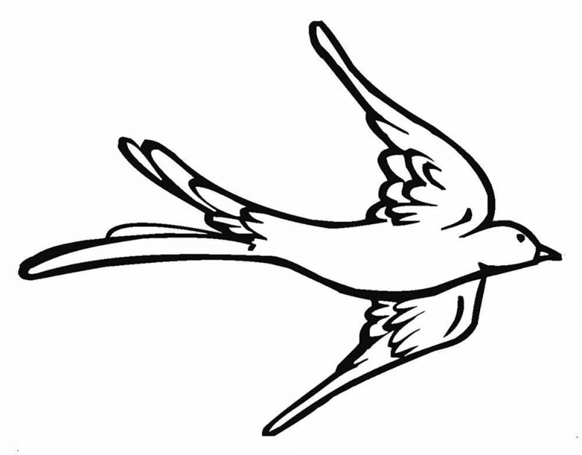 Great swallow coloring book for kids