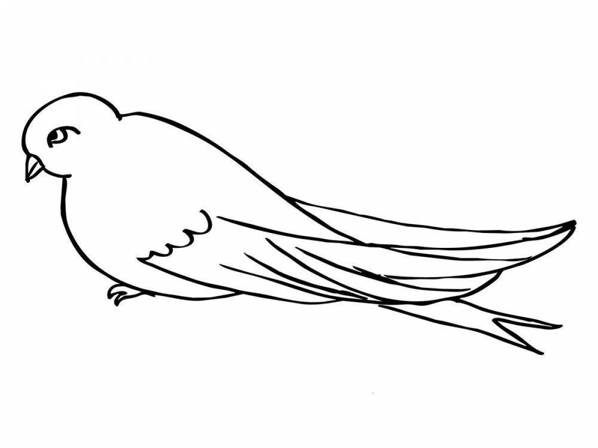 Cute swallow coloring book for kids