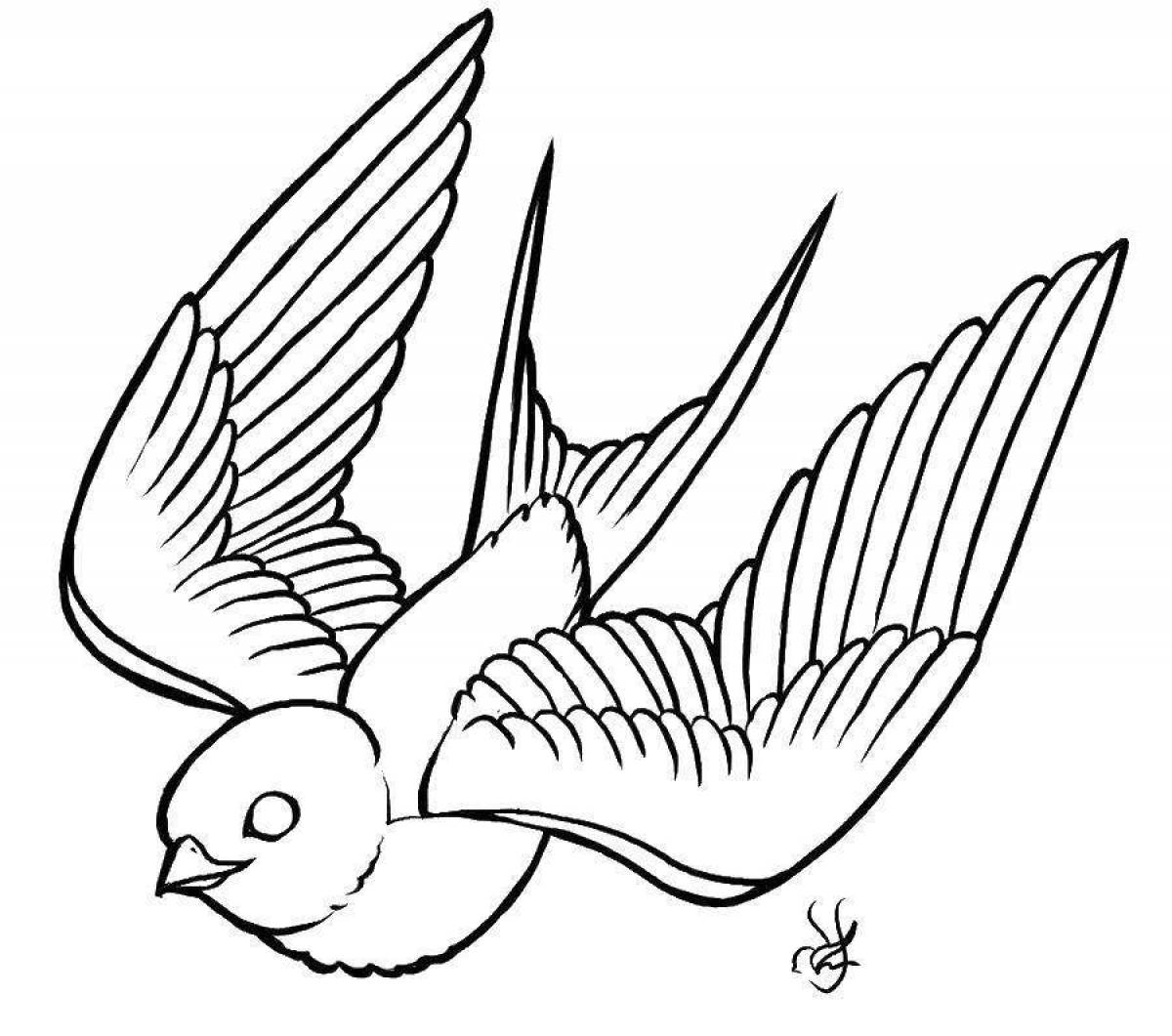 Unique swallow coloring book for kids