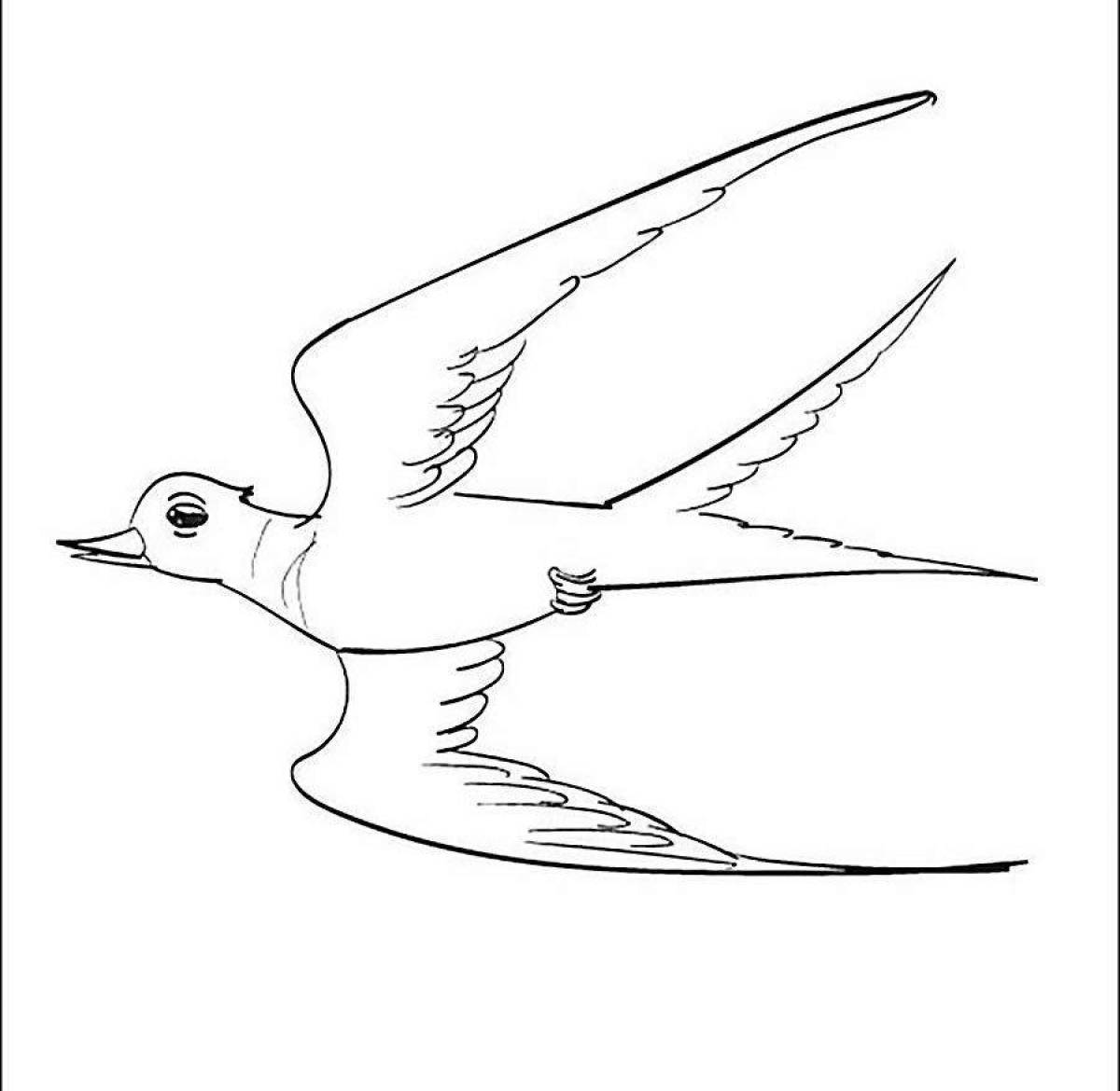 Colorful swallow coloring book for kids