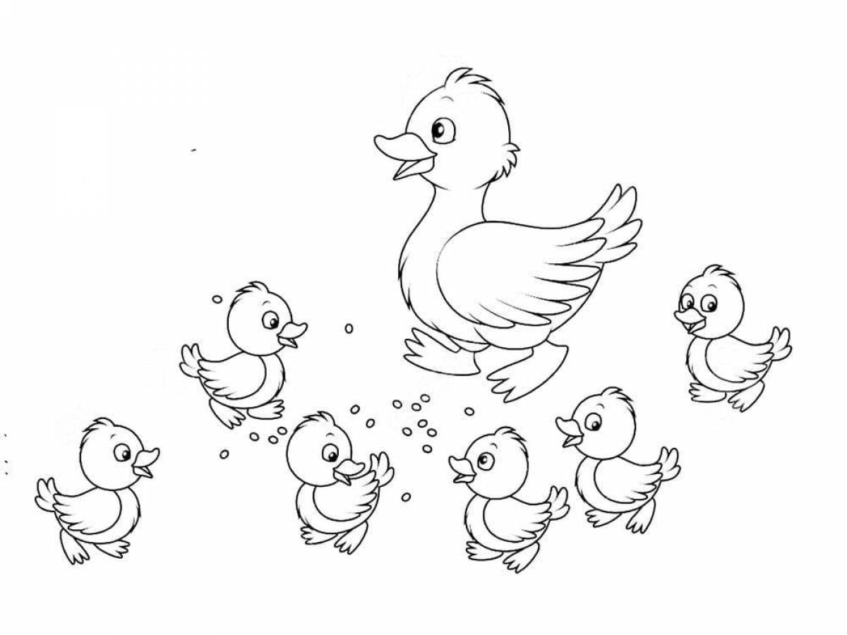 Joyous poultry coloring page for juniors