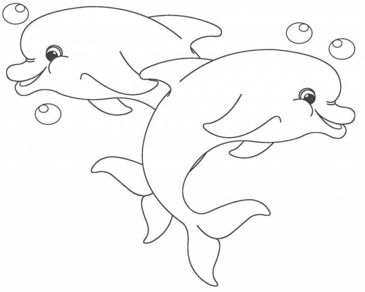Majestic dolphin coloring book