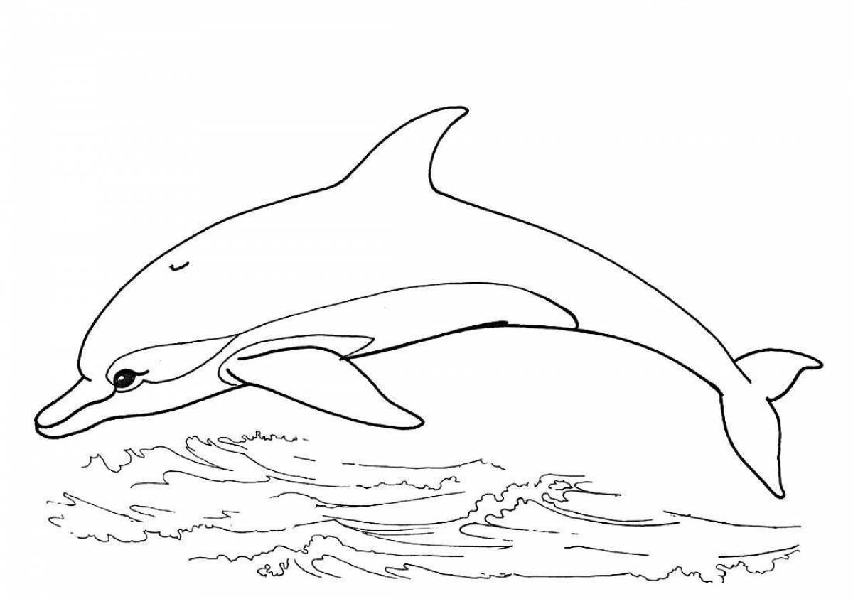 Безмятежный дельфин-раскраска
