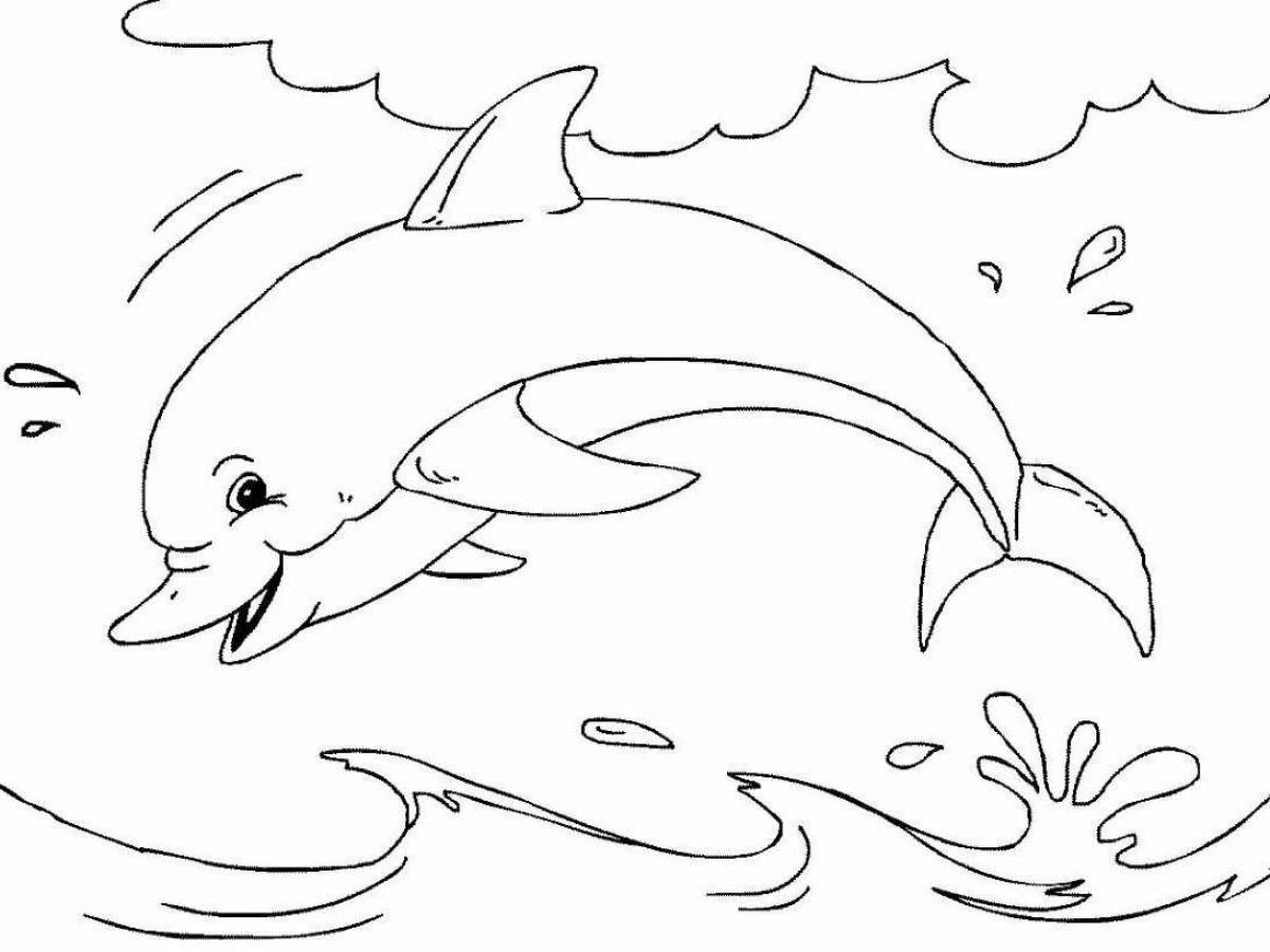 Colorful dolphin coloring book