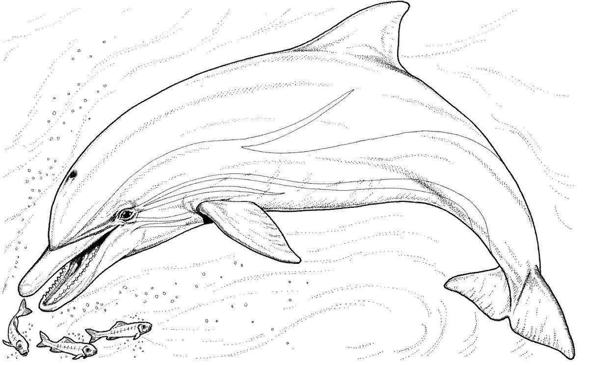 Буйная раскраска дельфин
