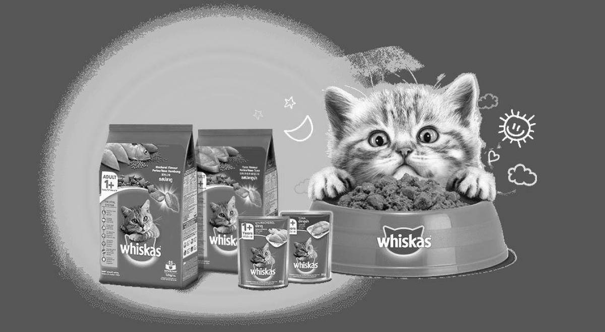 Sweet whiskas coloring page