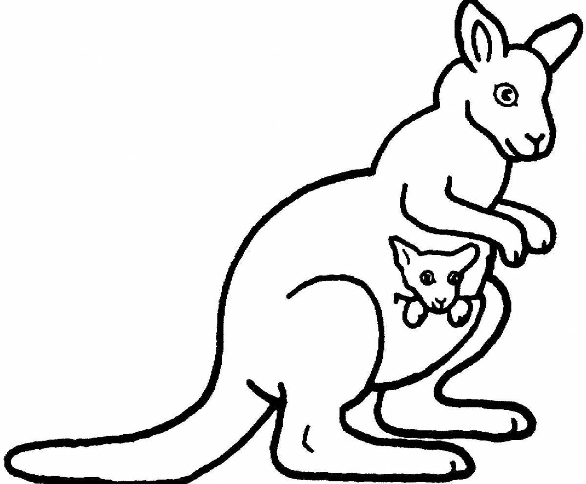 Веселая раскраска кенгуру для детей
