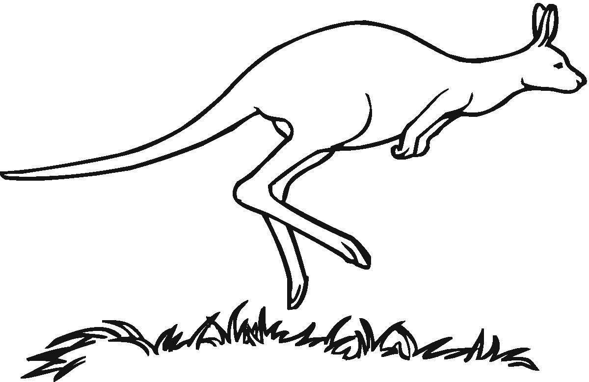 Cute kangaroo coloring pages for kids