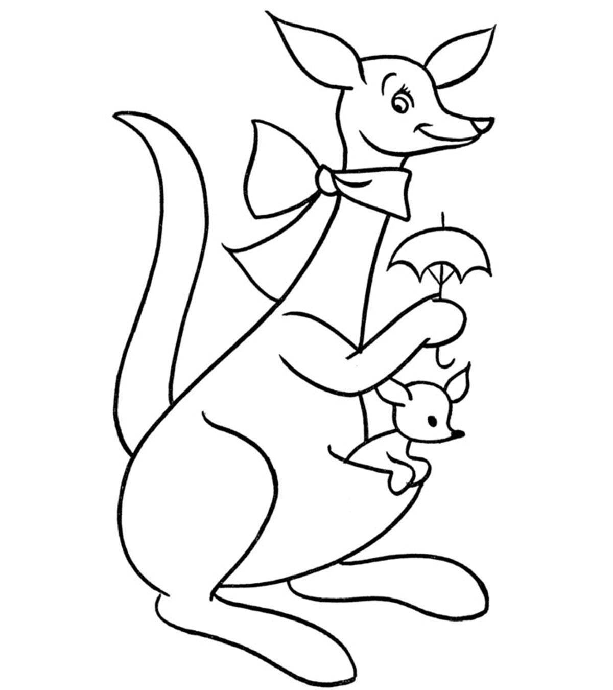 Увлекательная раскраска кенгуру для детей