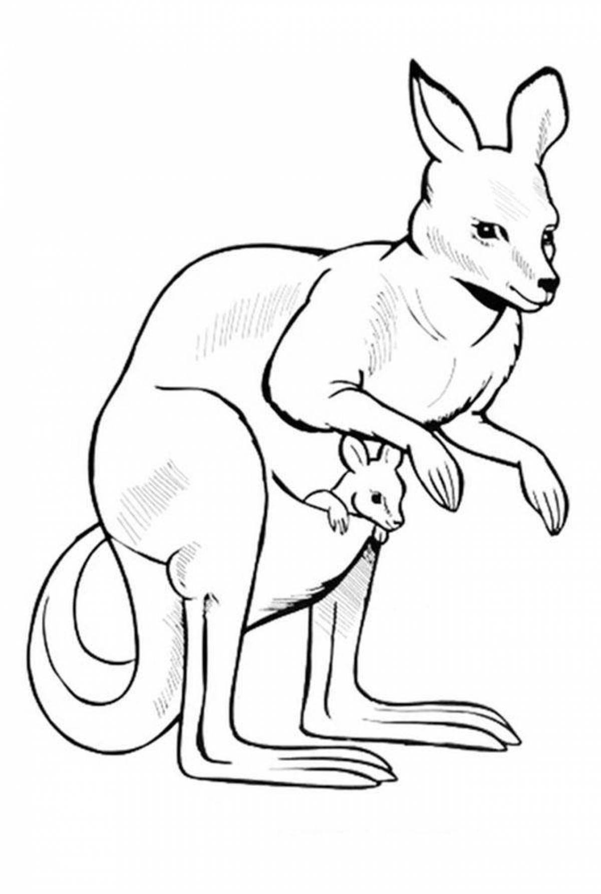 Sweet kangaroo coloring book for kids