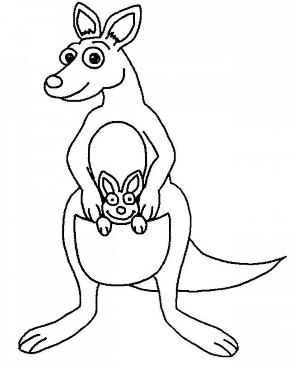 Забавная раскраска кенгуру для детей