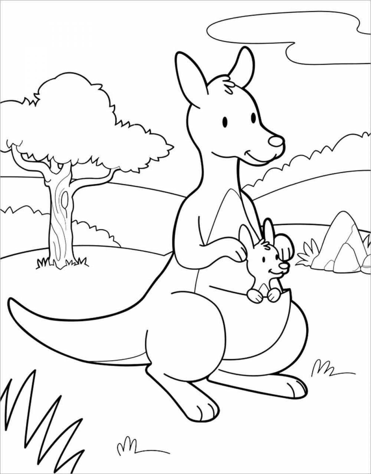 A fun kangaroo coloring book for kids