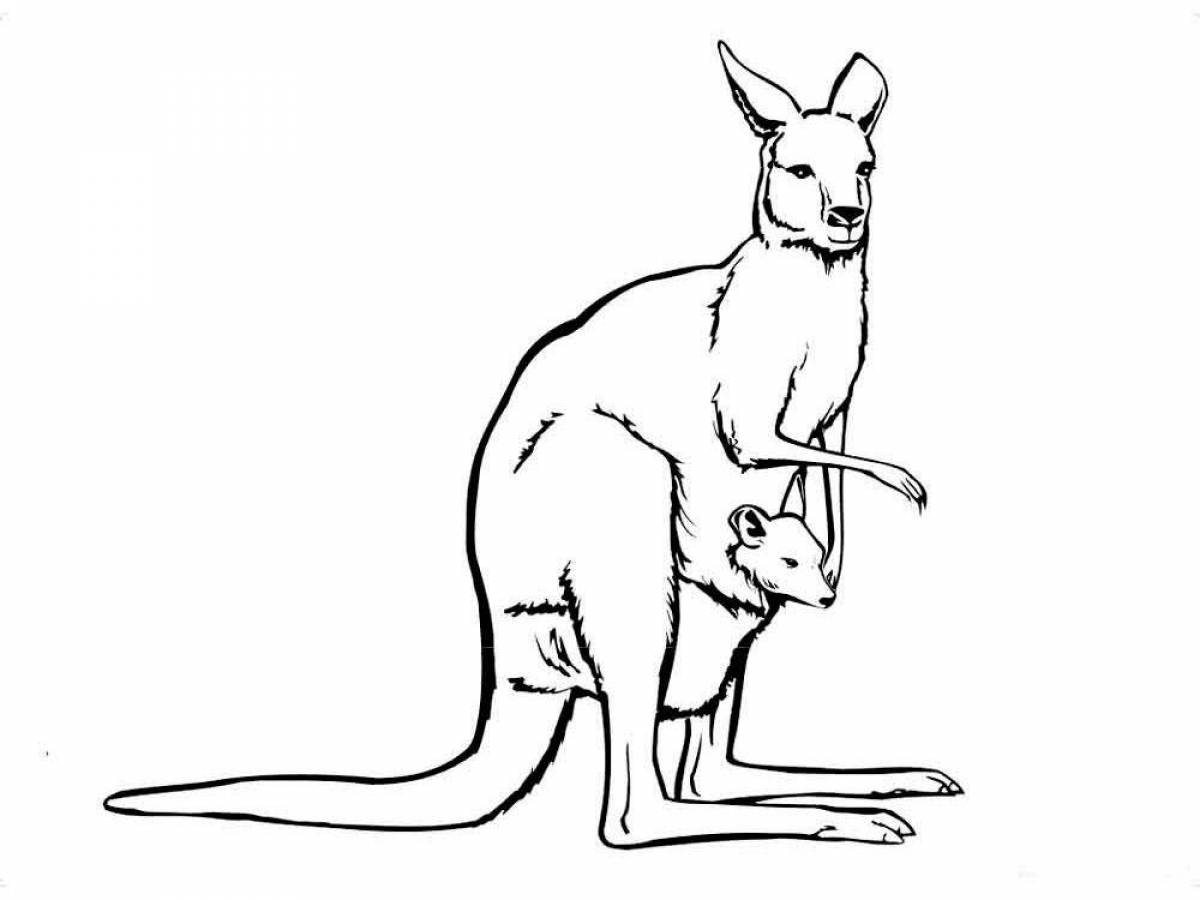Magic kangaroo coloring book for kids