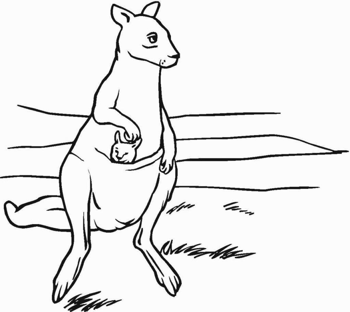 Славный кенгуру раскраски для детей