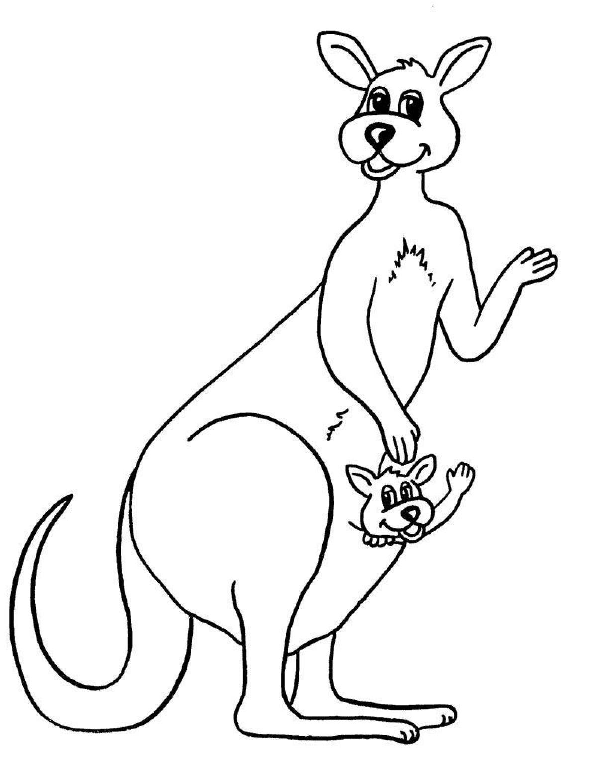 Раскраска «великолепный кенгуру» для детей