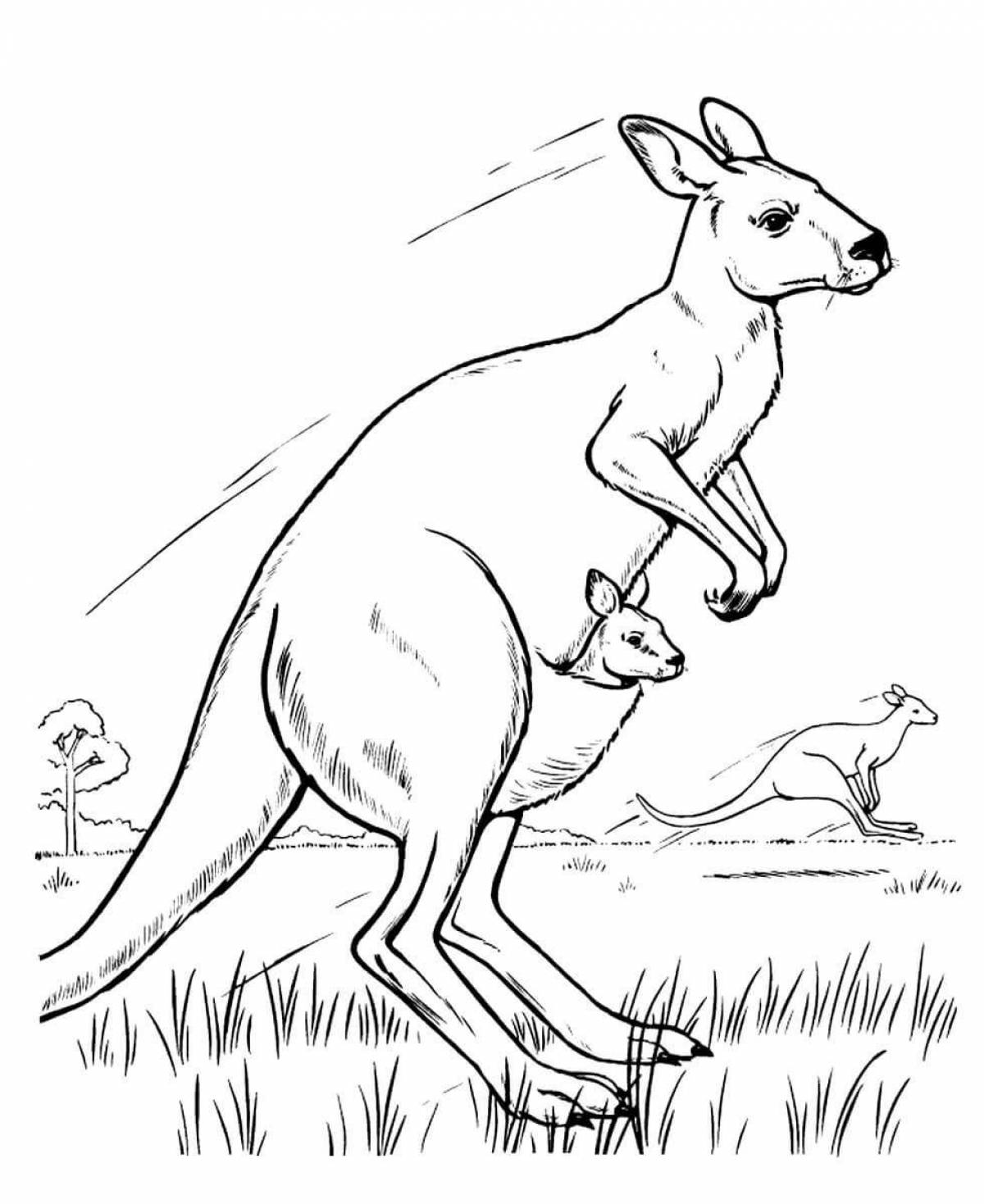 Coloring book glowing kangaroo for kids