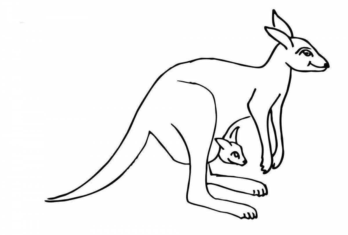Изысканная раскраска кенгуру для детей