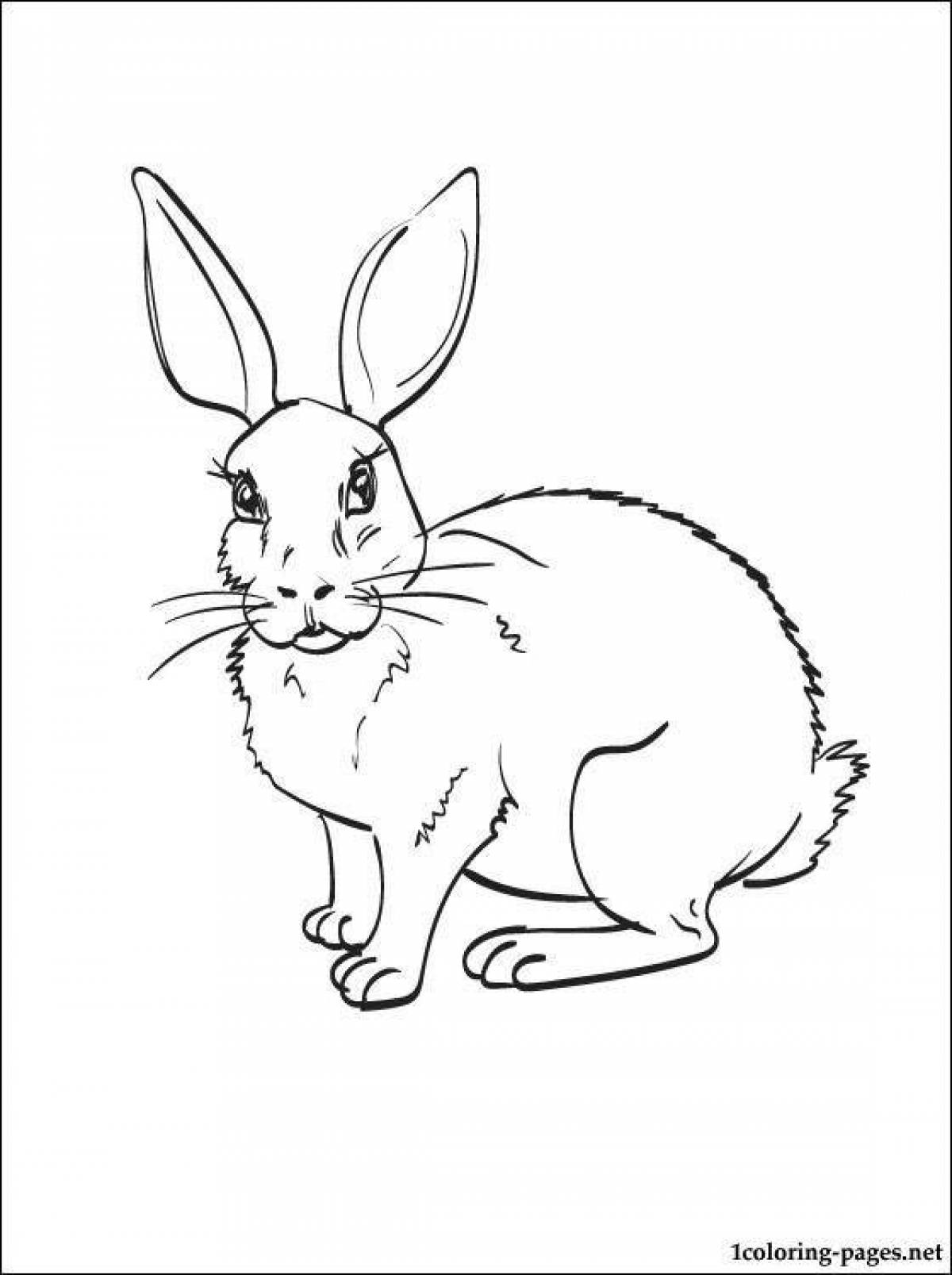 Кролик черно белый рисунок