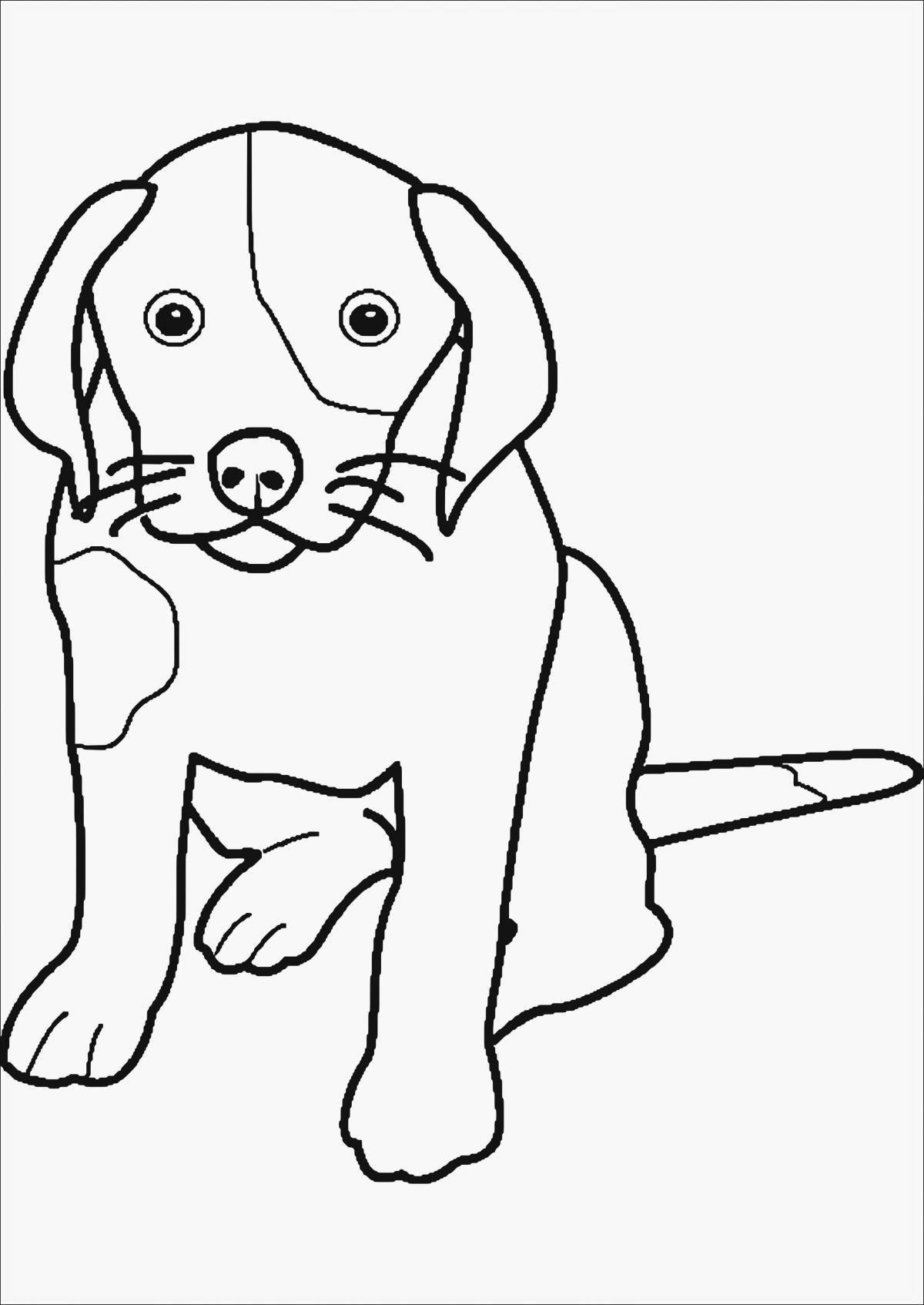 Красочная книжка-раскраска для собак