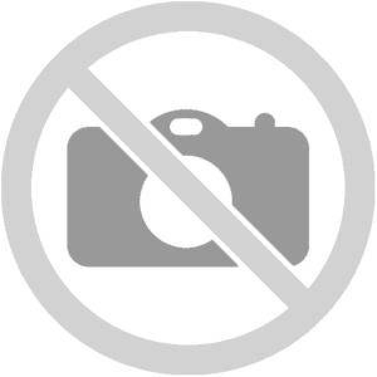 Очаровательная книжка-раскраска для собак