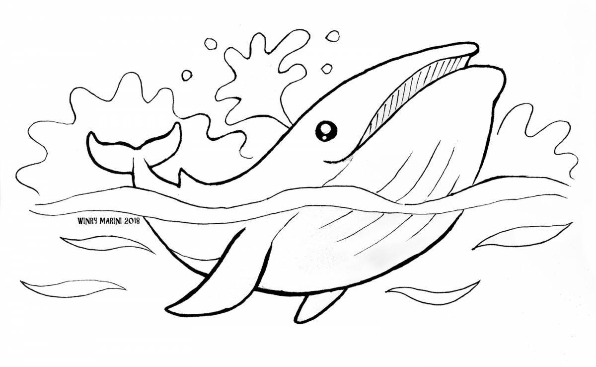 Majestic blue whale coloring page