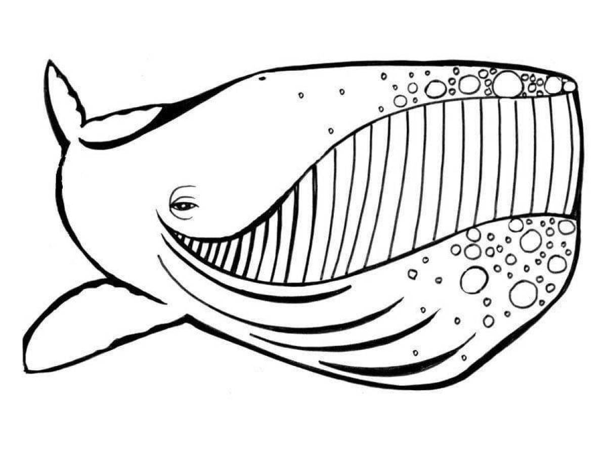 Exquisite Blue Whale Coloring Page