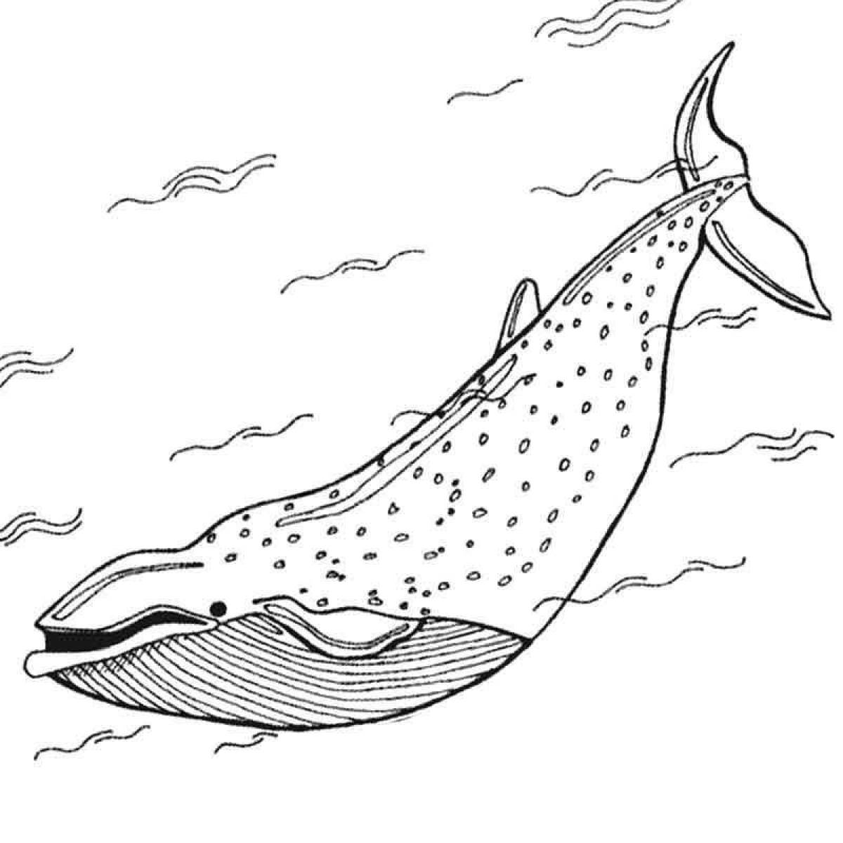 Glowing blue whale coloring page