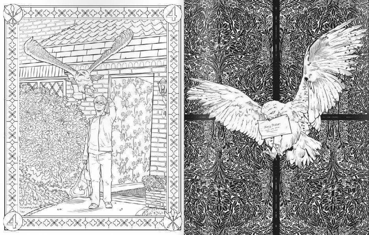 Harry potter's unusual antistress coloring book