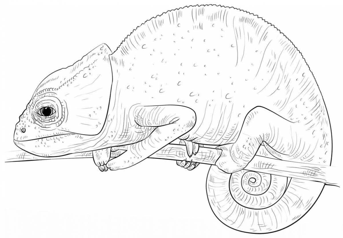 Charming chameleon coloring book