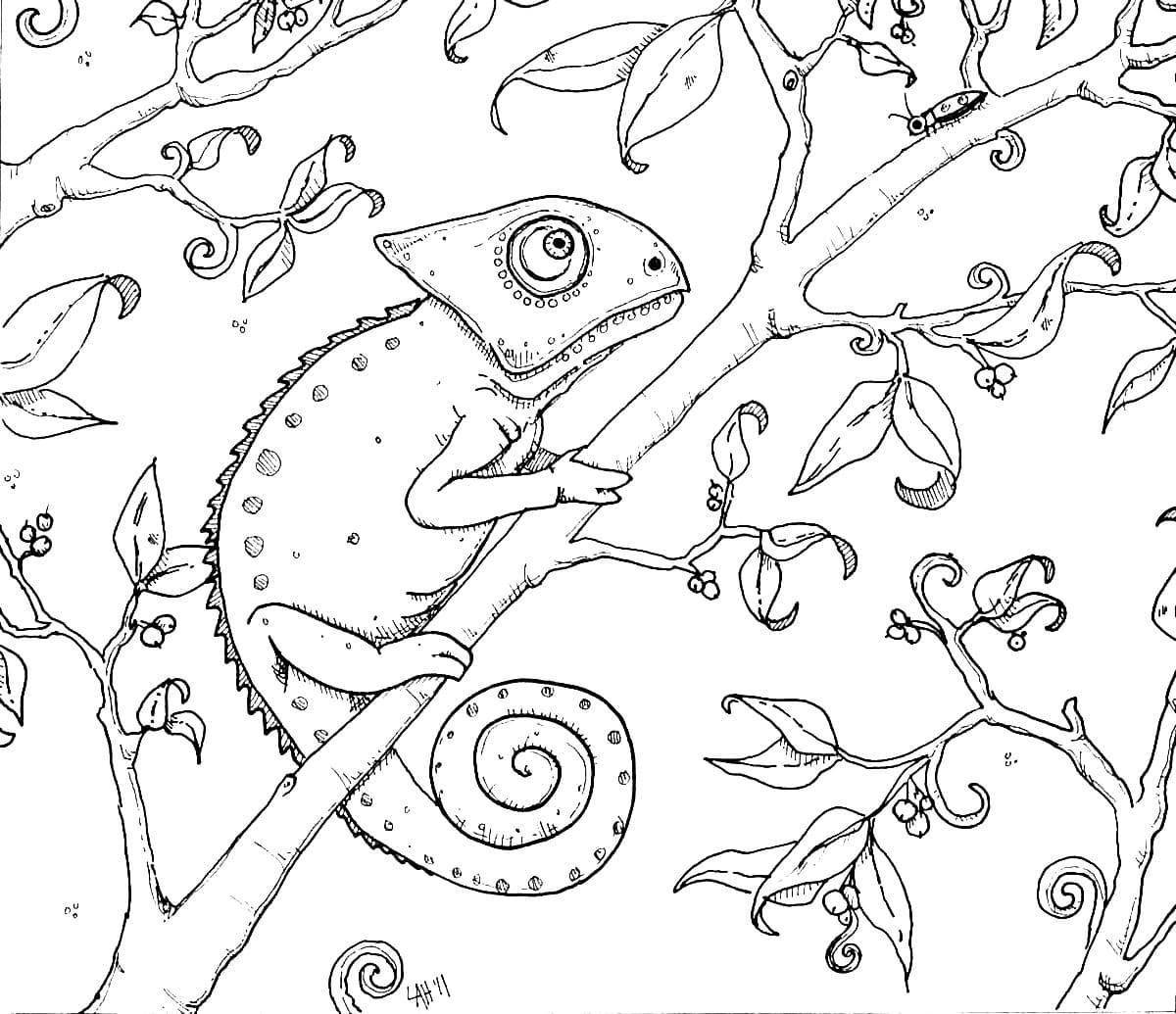 Cute chameleon coloring page