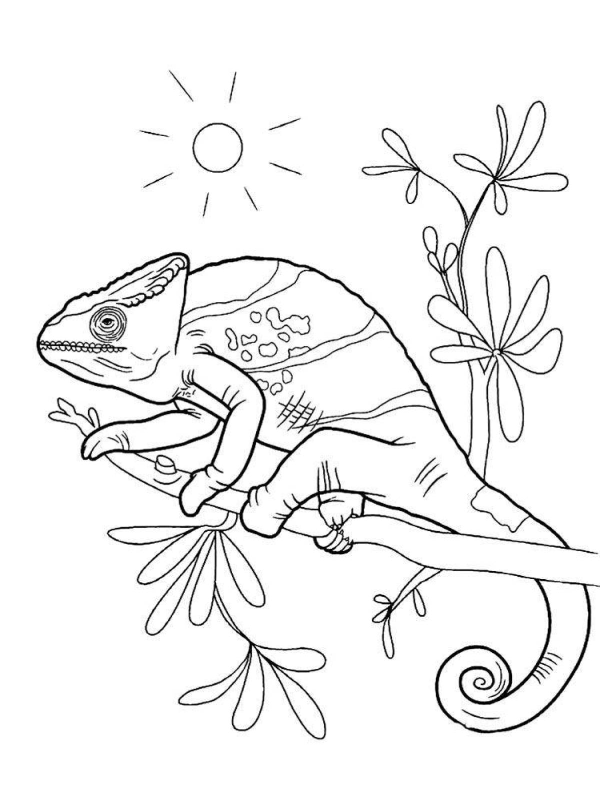 Fun coloring chameleon