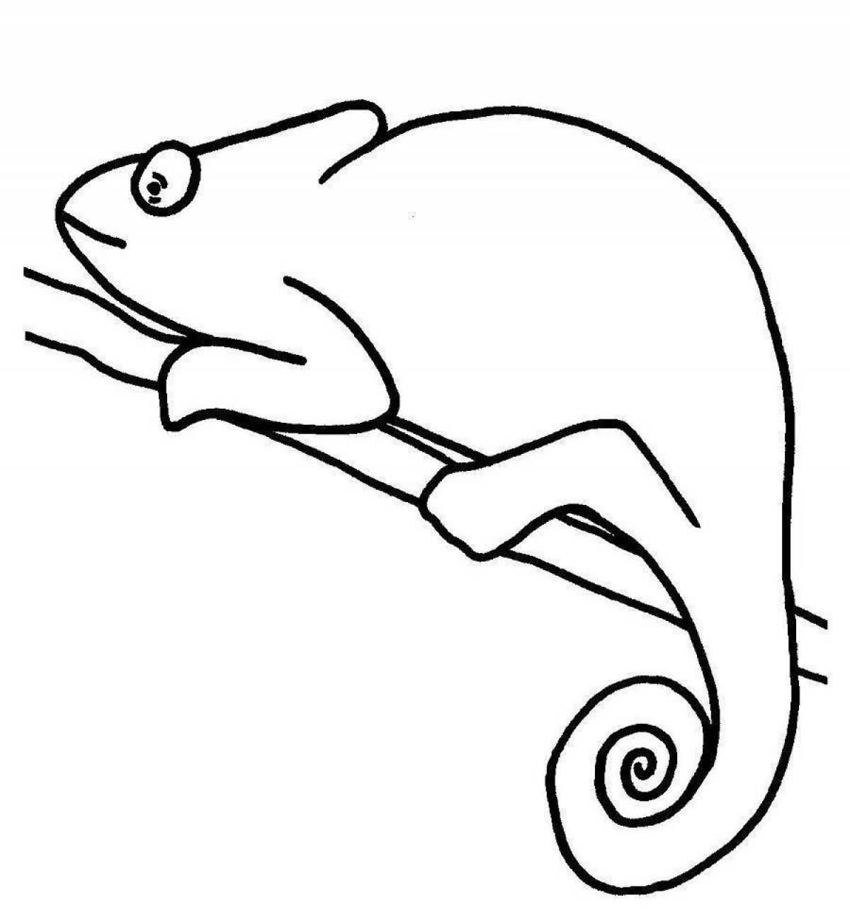 Outstanding chameleon coloring page