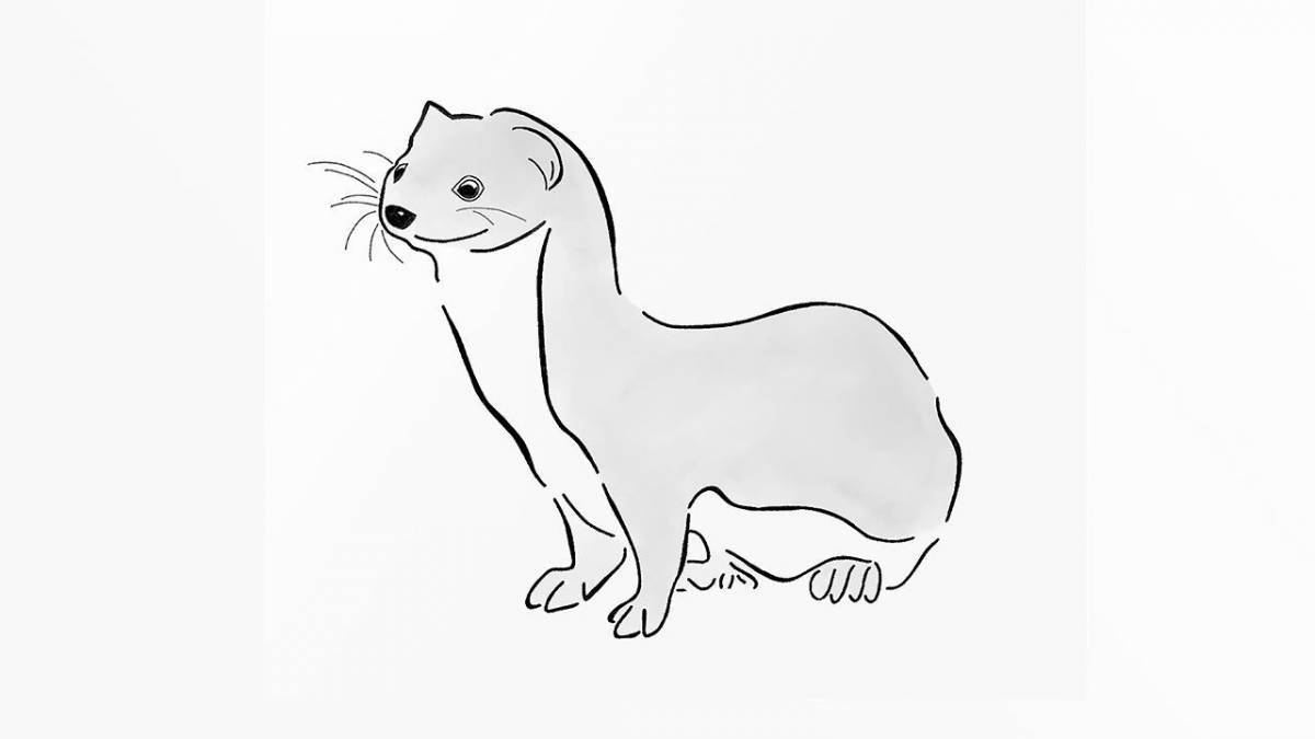 Adorable stoat coloring page