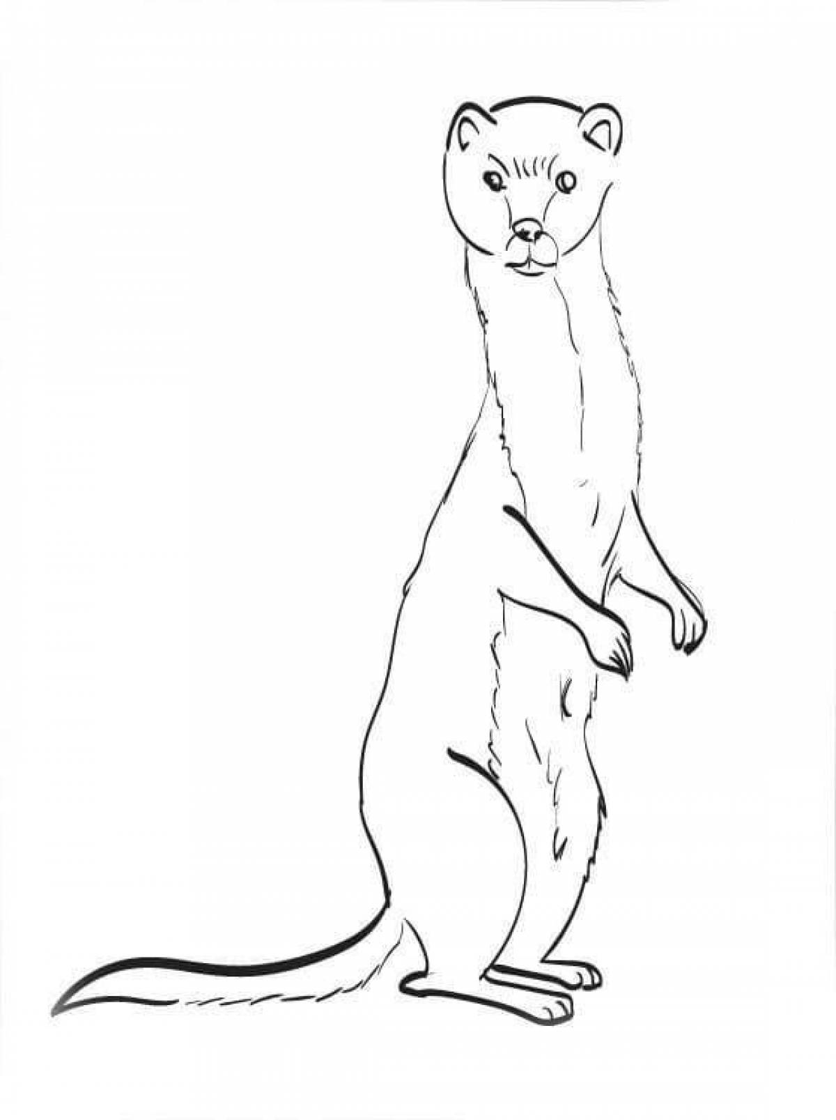 Cute stoat coloring page