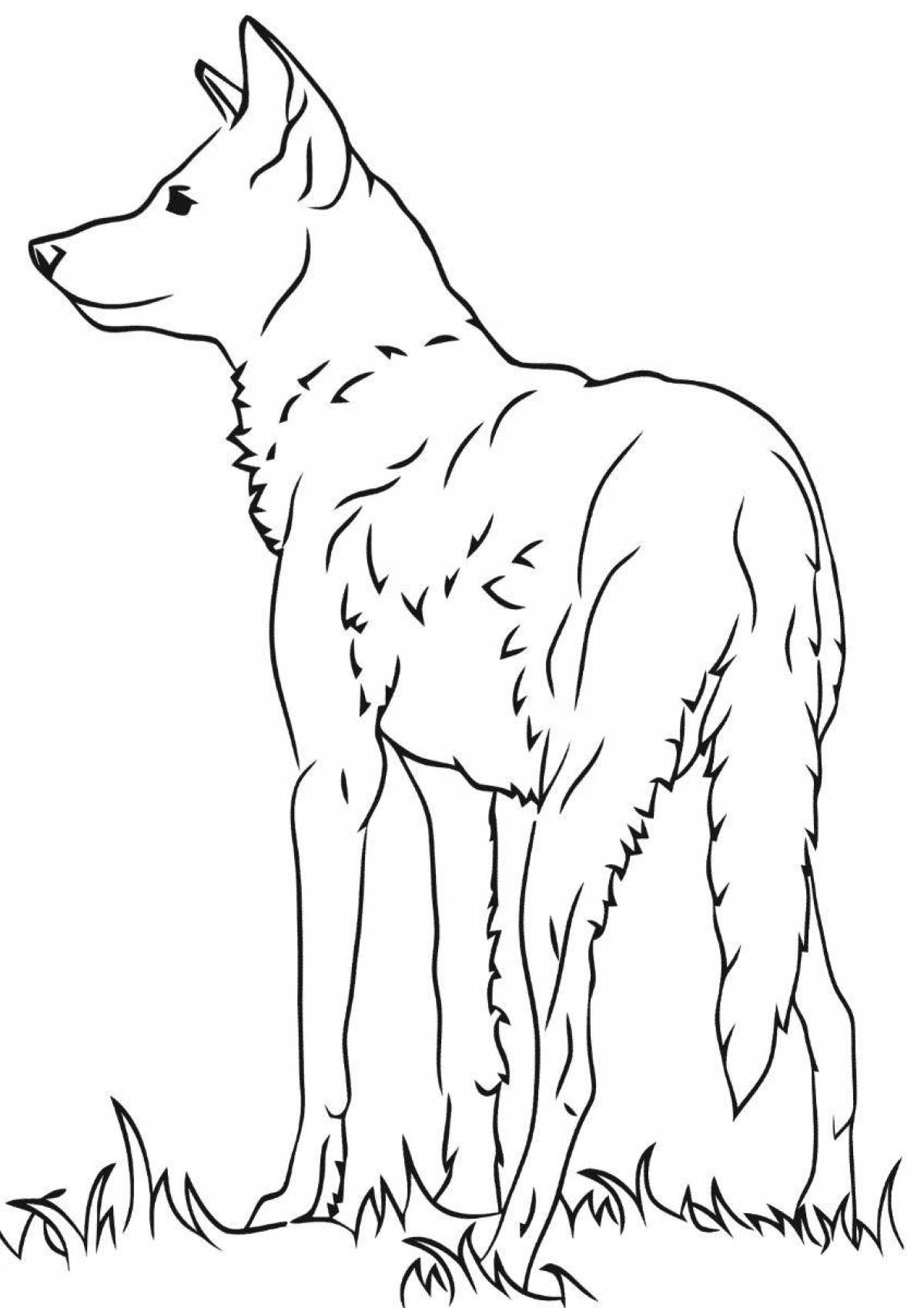 Majestic red wolf coloring page