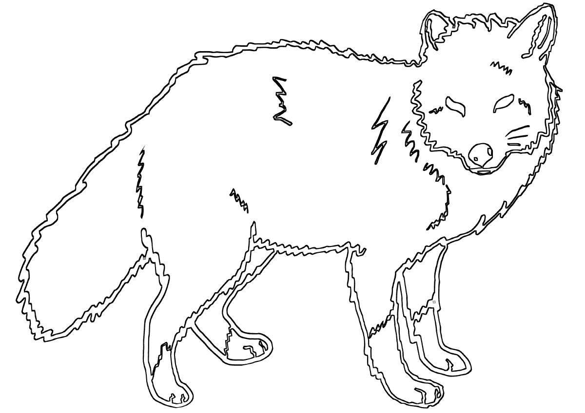 Coloring book brave red wolf