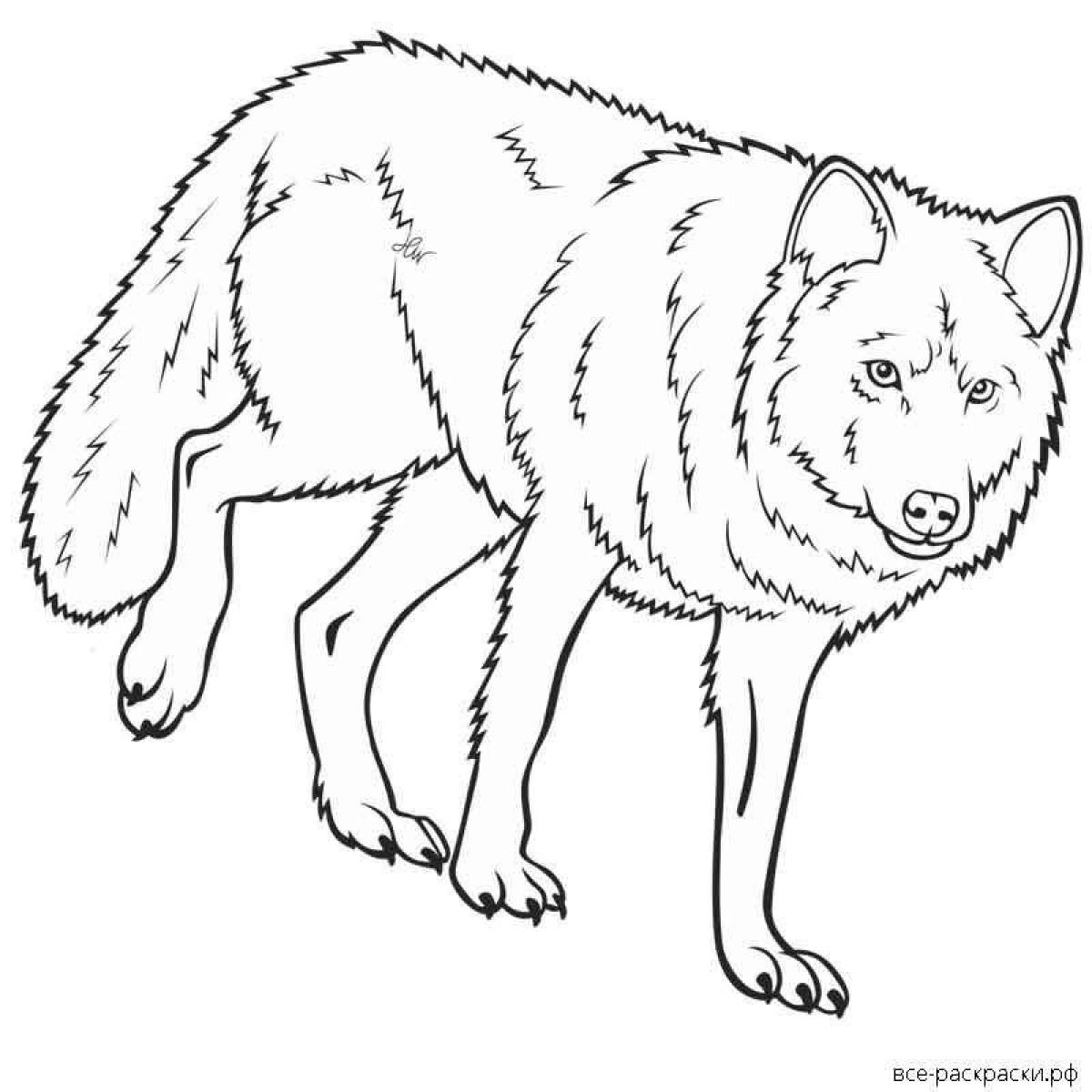 Раскраска блестящий красный волк