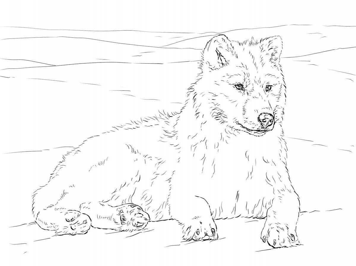 A striking red wolf coloring page