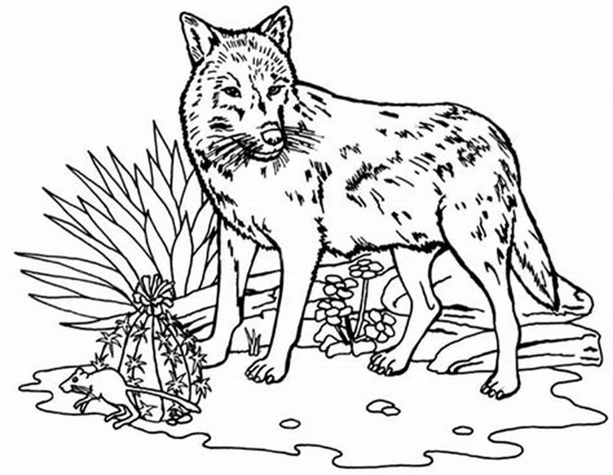 Dazzling red wolf coloring page