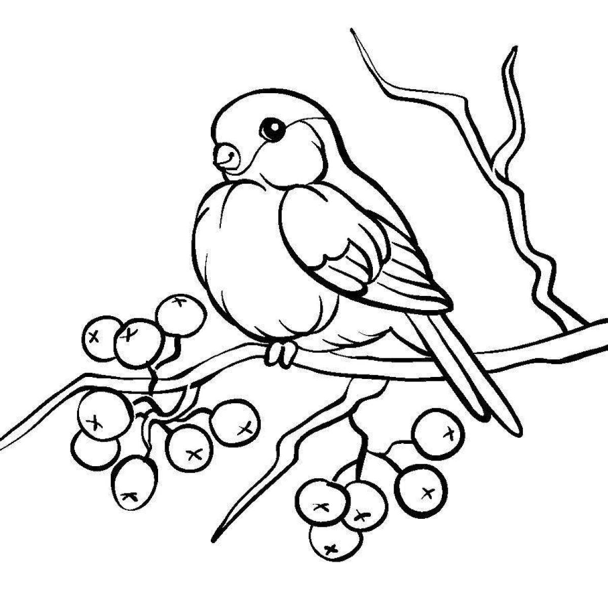 Coloring book cheerful bullfinch for children