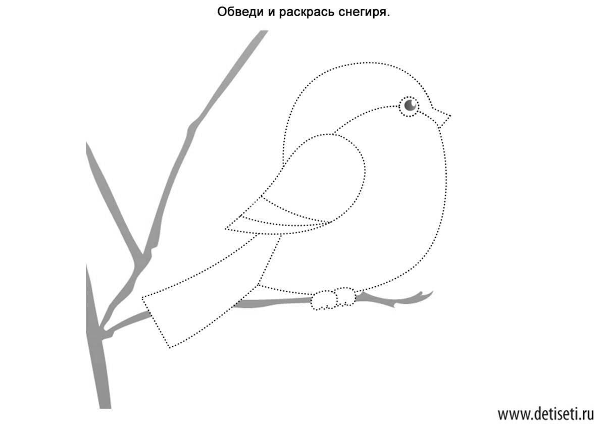 Adorable bullfinch coloring page for kids