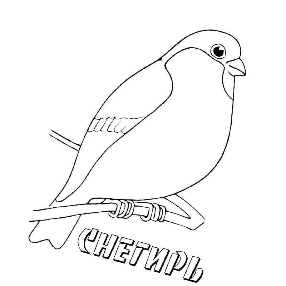 Exquisite bullfinch coloring book for 4-5 year olds