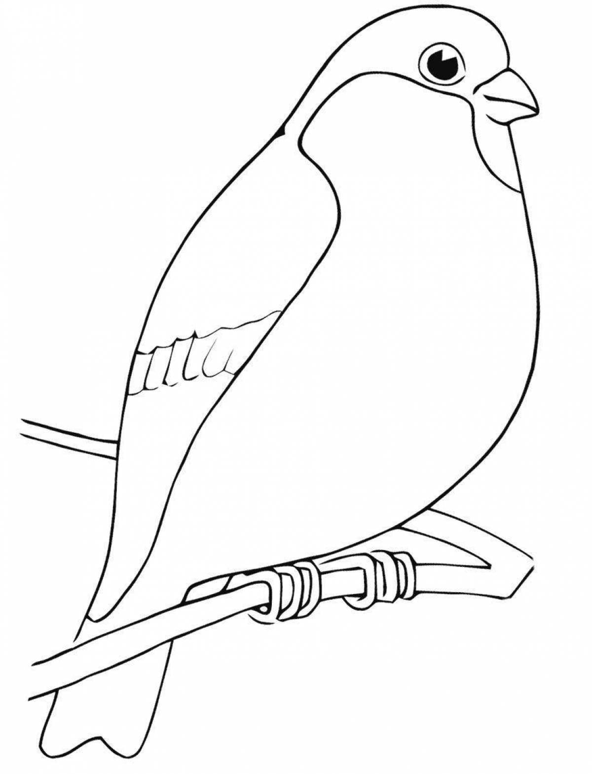 Incredible bullfinch coloring book for kids 4-5 years old
