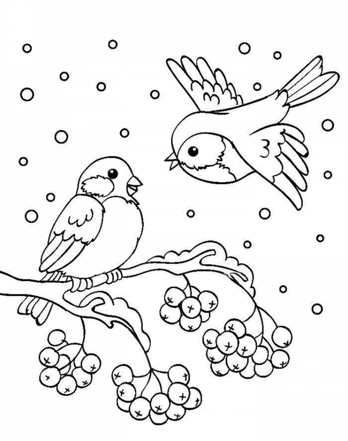 Impressive bullfinch coloring book for kids 4-5 years old
