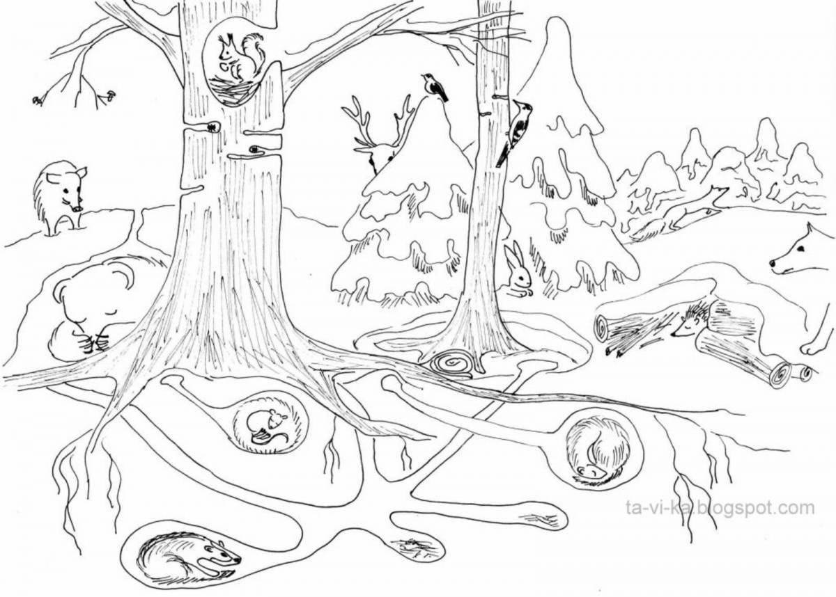 Fantastic winter in the forest coloring book