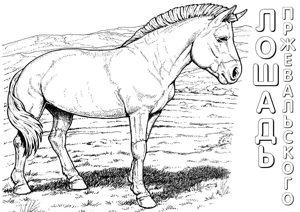 Coloring book joyful animals from the red book