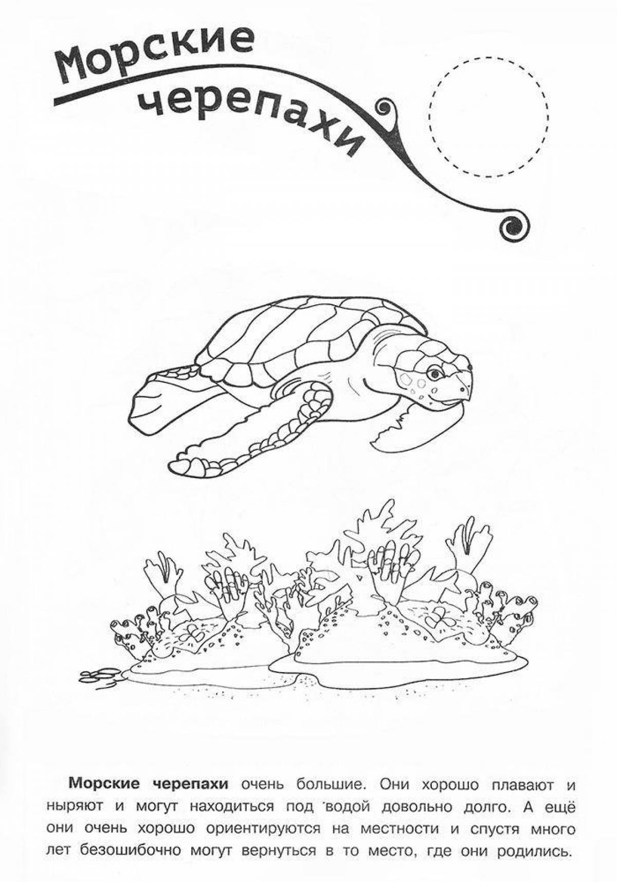 Playful red book animal coloring page