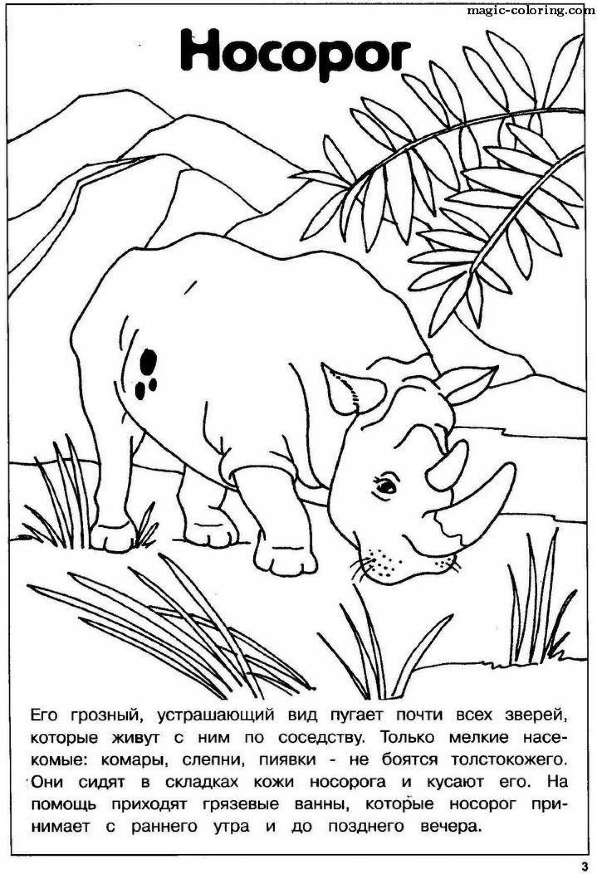 Bright red animal coloring book