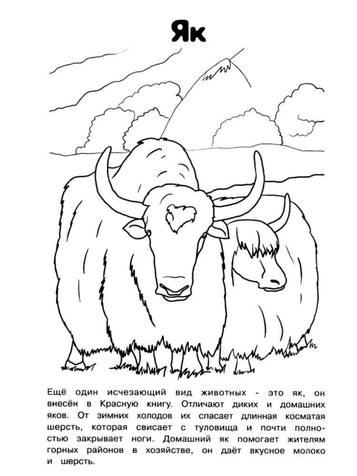 Coloring book wild animals from the red book