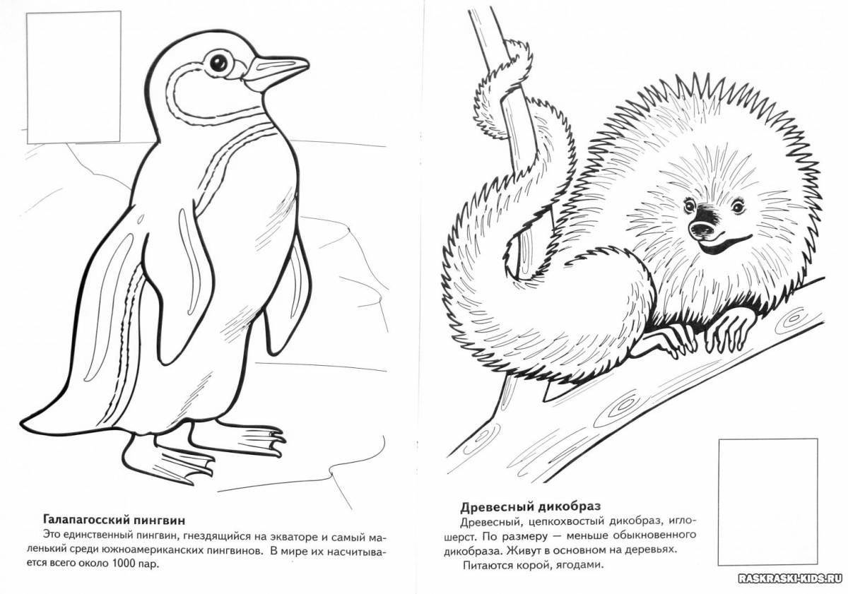 Animated animals from the red coloring book